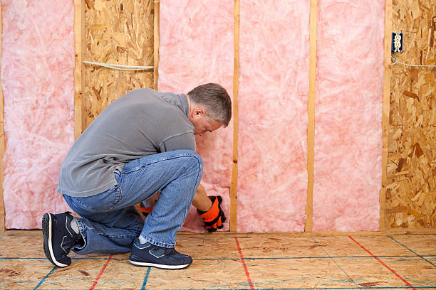 Best DIY Insulation Kits and Guidance in Berlin, WI